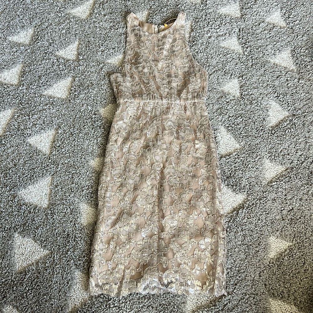 Alice and Olivia Taupe Lace Dress - 2